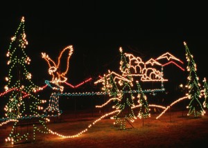 Holiday: Christmas Light Displays | Great American Things